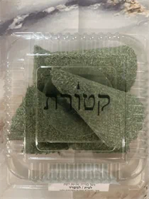 פצ'ולי שביעיה L