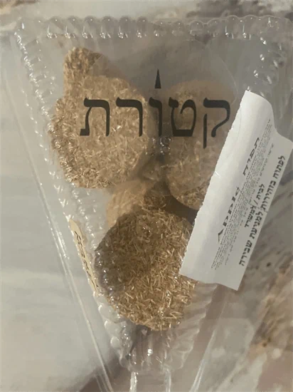 תפוח שישיה L