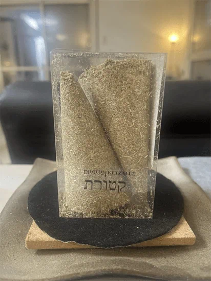 גן עדן Paradise זוג XL פרימיום